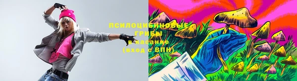 Альфа ПВП Елабуга