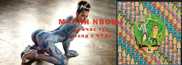 мдпв Елизово
