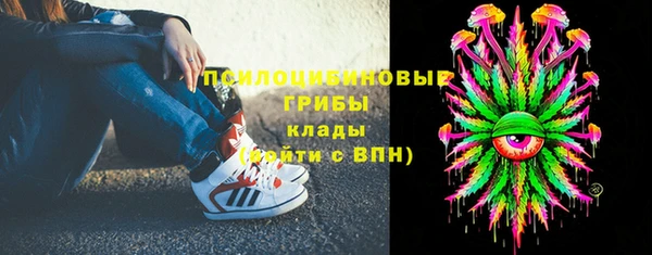 мдпв Елизово