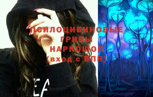 мдпв Елизово
