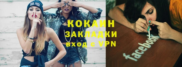 мдпв Елизово