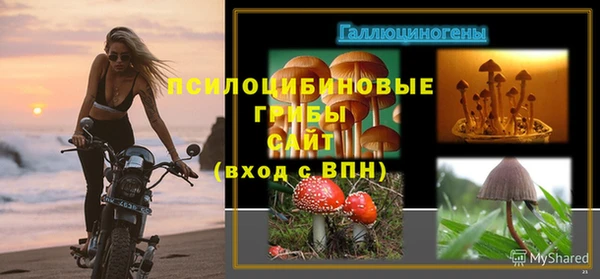 Альфа ПВП Елабуга